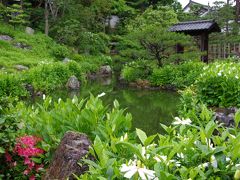 2012 雨の両足院で半夏生の庭を愛でる　