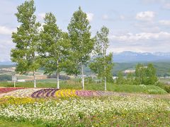 春の北海道*その３*「層雲峡から美瑛・富良野」