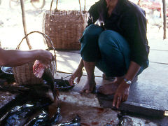 シエムリアップの市場・プノンペン・ベトナムへ～カンボジアの旅1992（その7）