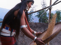 西盟・岳宋村で食べたワイルドな料理　ワ族の世界を訪ねる（3）～雲南の旅1993