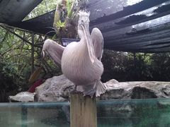 女2人の初アジア！～シンガポール＆ビンタン島～5日目＆6日目＆最終日