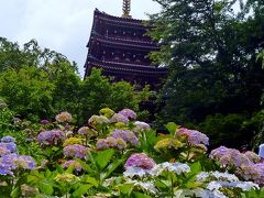 2012/06/15 梅雨のはじまり～松戸の本土寺と東漸寺へ