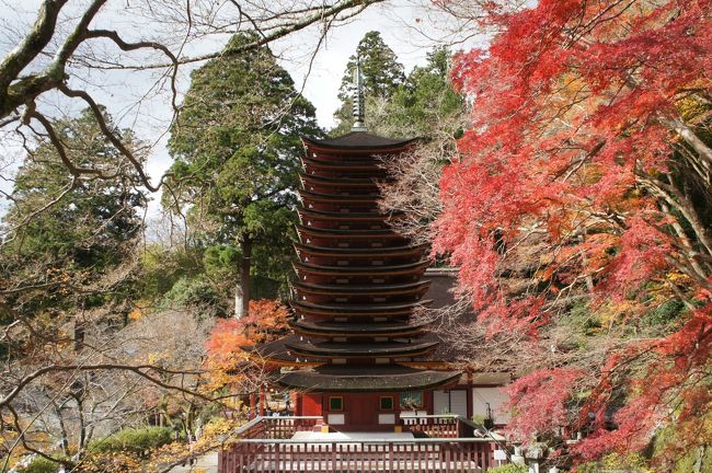 談山神社は、中大兄皇子（のちの天智天皇）と藤原鎌足がここで策を練り、大化の改新を成し遂げたといういわれのある神社です。<br />続いての聖林寺から安倍文殊院は定番コース。その後、みむろ最中が気になって、お店を訪ねたら、もう山の辺の道。ここまで来れば、歩くしかないでしょう。例によって、結局、今回も歩け歩けの旅になりました。<br />