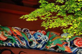 鎌倉四季物語【５月】～新緑に包まれた寺社を巡る～