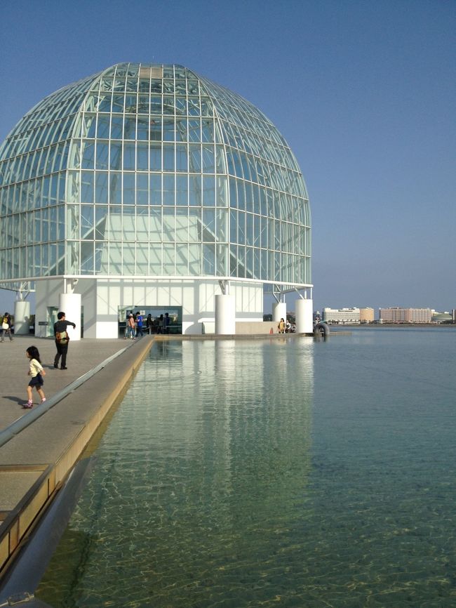 ある日の休日<br />お台場でランチ<br />水上バスにのって葛西臨海公園で散歩<br />マグロを見てたら<br />夕食は新鮮なお刺身（笑）