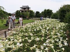 立てばシャクヤク、座ればボタン、歩く姿はユリの花　「池田城跡公園」　