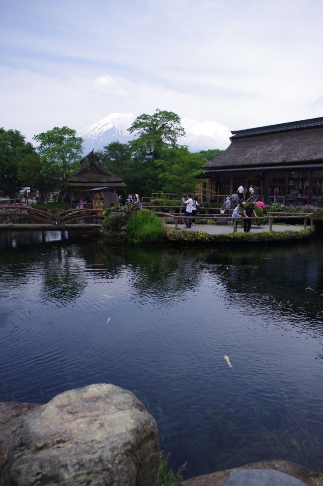 今年(2012年)4月に地元山梨に帰って来ました。<br />転職活動中と言いつつ、折角なので少しのんびりしている近頃。<br /><br />地元でも意外と行ったことのない場所が多いことに気づき、<br />仕事がお休みだった母と忍野八海へ行って来ました(^^