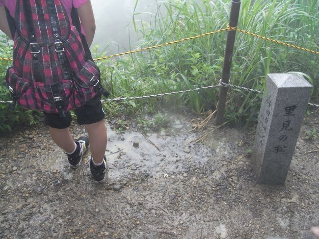 6月17日（日）雨模様なので、中腹以上は殆んどガスの中の弥彦山に、泥だらけになって登山してきました。<br />連れ（小学生10人）達は、サッサと九合目まで行き、レストランの軒下で昼食、その後勝手に行動。奥の院まで「お守り」を買いに行くもの、お土産を買うもの、ゲームをするものETC。下山は、五合目までは素直に降ってたが、ソノあとは、なだれのように（多分）ふもとの茶屋を目指したようです。こちら（引率）はノッタノタと慎重に降りました（老齢だもんで）<br />結論「子供は素晴らしい」