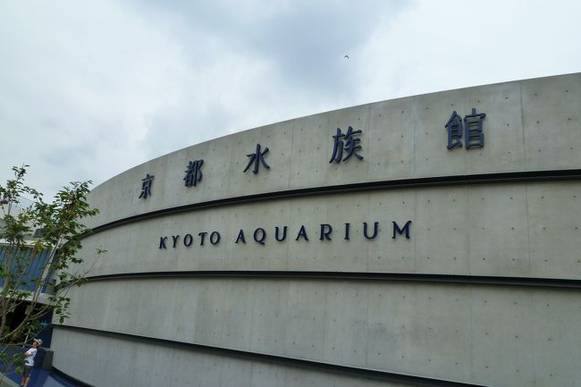 京都水族館がオープンして３ケ月ほど経って、<br /><br />もう空いてるだろうと思って行きました！<br /><br />水族館と言えば、城崎マリンワールド、海遊館、以来です<br /><br />以前、海遊館に行った時は、１５分くらいで出てきてしまったので...<br /><br />今回はじっくり見ようと気合十分！<br /><br />水族館のあとは、京都観光でもして大阪に戻る予定でした<br /><br />が...?<br />