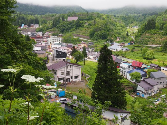 新庄からは、土日は１日に４本しかないバスに乗ってＧＯ。<br />1750にワンマン車で新庄着、1810発のバスに乗り肘折温泉へ。<br /><br />新庄市から抜けると、大蔵村がちょびっと家があった以外は<br />ホントに人が住んでる気配がない（といっても雨がドシャ降りだったせいもあるが）<br /><br />肘折温泉は新庄から55分バスでひた走り、<br />ものすごい山奥にあったのでした。<br /><br />温泉街はなんもないヒナビタ感じが好きという方には<br />お薦めです<br /><br />行ったときは<br />村唯一と言ってもいい主要道が<br />村始まって以来の崖崩れによる通行止めになっていて<br />バスは村はずれの高台までしか入れない<br />という状況でした。<br />しばらくはマイカーでは温泉街へは細い山道をぬって村へ入るらしい。