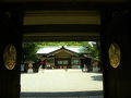 ２０１２　明治神宮御苑　下　花菖蒲と東郷神社