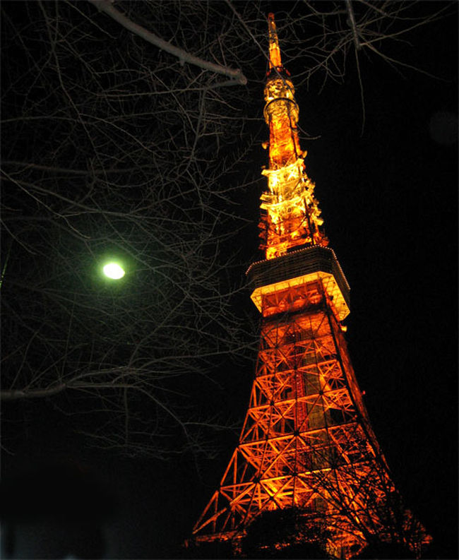 08.12.30 上海->東京(中野ブロードウェー)<br />08.12.31 東京->千葉->東京(ディズニーシー->東京タワー)<br />09.01.01 東京(明治神宮->代々木公園->NHKホール見学->日テレ屋->東京ドームでNEWSコン夜部参戦)<br />09.01.02 東京->大阪->東京(大阪城ホールで内博貴コン昼部と夜部参戦)<br />09.01.03 東京->上海(池袋)<br /><br /><br />日本への二度目の旅。旅ていうか、ただいろんなコンサートを参戦してるだけじゃない?と今はそう思っています。<br /><br />一度目の旅と比べてなんにも進歩してませんね。下調べもプラン立てる能力も写真の腕も。
