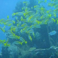 初めてのトランジットでバリ島へ(バリ島編 その1)