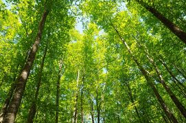 田沢湖・乳頭温泉郷の旅行記