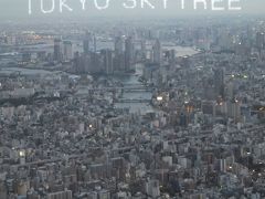 やっぱりすごい！東京スカイツリー☆ソラカラポイントを目指す空中散歩♪