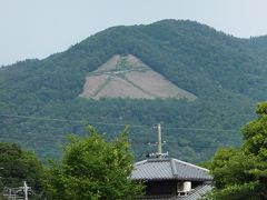 小梅が鴨川で未知なるものに遭遇した