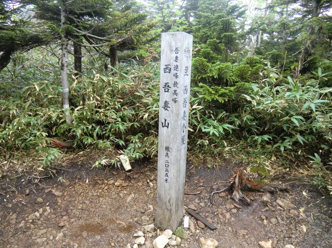 梅雨の合間に日帰りで吾妻山の最高峰・西吾妻山に登ってきました！<br /><br />西吾妻スカイバレー−白布湯元駅（西吾妻ロープウェー）天元台駅（リフト）北望台−人形石−梵天岩−西吾妻山頂上−西吾妻小屋−吾妻神社・天狗岩−北望台（リフト、ロープウェー）白布湯元駅−白布温泉・森の館−米沢・東光の酒蔵