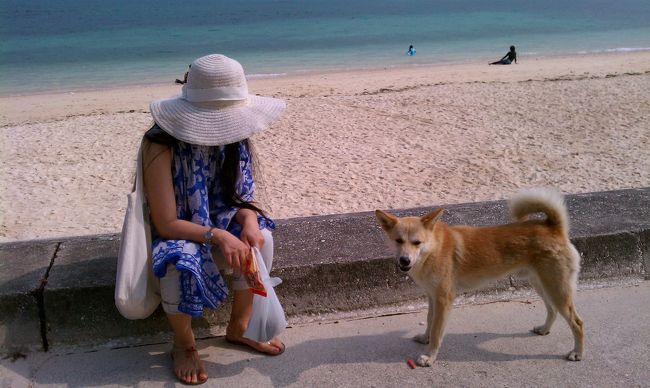 沖縄那覇と宮古島にサンタさんと旅行に行きました。<br /><br />那覇と宮古島でお散歩中に、猫さんと犬さんに時々会えました。<br /><br />旅先で、見知らぬ猫さんや犬さんに出会えた時のあの喜びったら!!!<br />旅をする楽しみの大きなひとつです。<br /><br />少しだけですが、ご覧くださりませ(*´`*)<br />