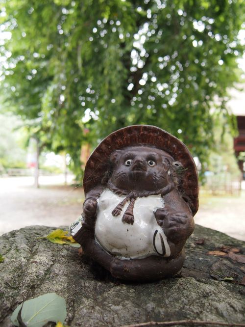 分福茶釜☆置物 （タヌキは他抜き～!?】館林市の茂林寺で必勝