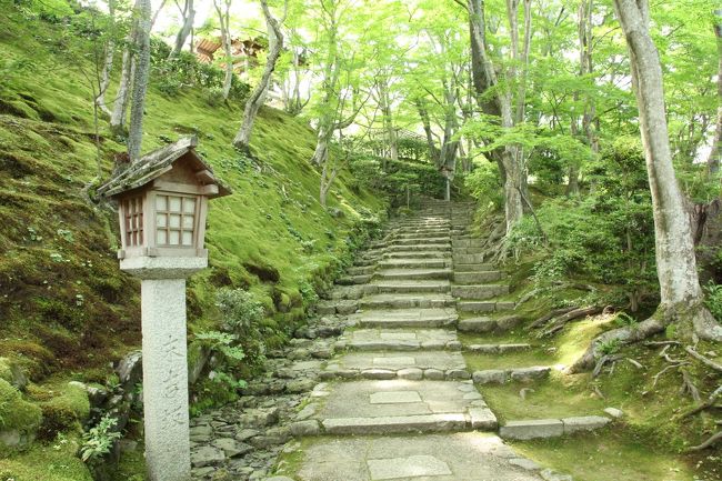 一度泊まってみたいと思っていた、京都嵐山の共立メンテナンスの宿「花伝抄」に宿泊して嵐山散策をしてきました。<br /><br />普段は京都はパーク＆ライドで観光するのですが、今回は宿の駐車場が使える（1000円/1日）ので、宿に車を置いて荷物を預かって頂き、レンタサイクルで嵐山を散策してきました。<br /><br />