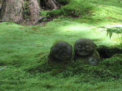 三千院と紫陽花苑プラス極上の「宝泉」の絶品わらび餅