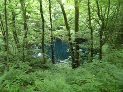 大人の休日旅④　十二湖ハイキング