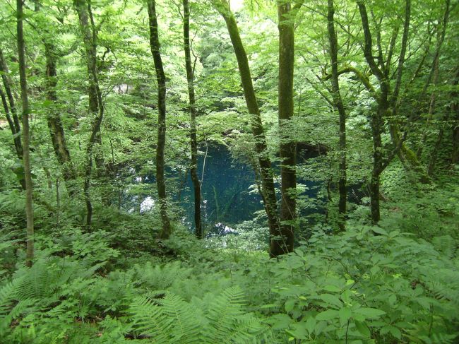 リゾ－トしらかみを十二湖で途中下車し、凡そ４時間のハイキングを楽しみました。