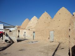 ヨーロッパと中近東の端かじり旅２０１０（１９）ハマ二日目（土の家）