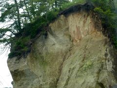 奥の細道を訪ねて第9回⑤貸切ボートで塩釜～松島クルーズ in 松島