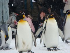 10冬　札幌☆2日目　～旭山動物園～