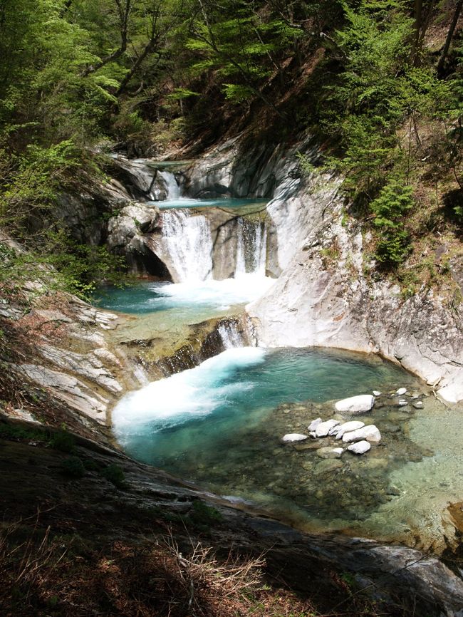 2012年の第一弾の滝コミュオフ会は、山梨県の西沢渓谷にある百選の滝・七ツ釜五段の滝に決まりました。日程は私が東京へ出張する週末に合わせていただきました。私にとって西沢渓谷は、5年前に一度行く計画を立て、すぐ近くに宿を取りましたが、雨のために中止したことのある因縁の地です。参加者はいつもの通りJOECOOLさんご夫妻と私の３名です。<br /><br />5月18日の夜、東京での仕事を終えて甲府入り。JOECOOLさんご夫妻も夜遅く石和温泉入りされました。19日朝早くJR石和温泉駅で落ち合うことにしました。<br /><br />天候に恵まれ、最高のオフ会となりました。七ツ釜五段の滝で百選滝８１滝目制覇です。<br /><br />なれいの滝滝見難易度：２、大久保の滝滝見難易度：４、三重の滝滝見難易度：４、竜神の滝滝見難易度：５、恋糸の滝滝見難易度：５、貞泉の滝滝見難易度：５、七ツ釜五段の滝滝見難易度：５、不動の滝滝見難易度：５<br />参考　滝見難易度０：道路から見える、１：片道徒歩５分以内、２：片道徒歩１５分以内、３：片道徒歩３０分以内、４：片道徒歩１時間以内、５：片道徒歩２時間以内、６：片道徒歩２時間以上もしくは２時間以内でも特別な装備が必要な場合など。私の旅行記ではほとんど出現することはないと思われる。<br />注意　滝見難易度はあくまで私の主観によるものであり、また季節や天候により難易度が上がる場合もあります。私の旅行記を参考にされて、「違うかったやんけ」とおっしゃられても責任は負えませんのでご了承ください。また、難易度が高い場合はできる限り単独行は避けるようお願いします。