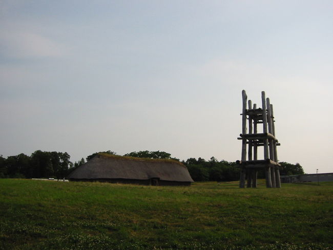 久しぶりに三内丸山遺跡に行ってきました。<br />ここ数日暑くなってきたので夕方に。それでも暑かったですが…。