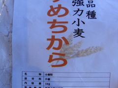 新種小麦｢ゆめちから｣を求めて　その３再び音更・帯広編