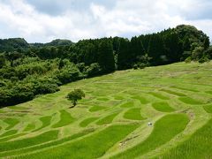 鴨川　大山千枚田