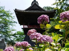 あじさい回廊・能護寺