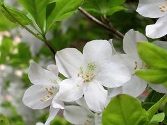 12年GW家族で遠出！仙台～白石「湯主一條」さんへ