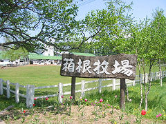 思い出めぐりの旅の1　箱根牧場