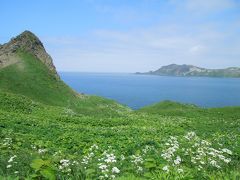 礼文・利尻　花の島旅【２】スコトン岬～4時間コース