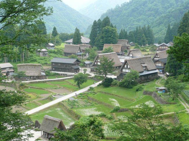 萩町からもう少し足を伸ばし、五箇山の合掌造り集落も行って見ることにした。<br />東海北陸道とほぼ平行に走る156号線(飛騨峡合掌ライン)で、先ずは菅沼合掌集落を目指す。<br />成出発電所辺りからは岐阜と富山の県境が入り組んでいて、それぞれの県名看板が引っ切り無しに表示される。<br />いつになったら本当に富山になるの〜?と思いながら走る事30分位で五箇山ICを通過。<br />やがて左側に駐菅沼集落の車場が見えた。<br />合掌造りといえば岐阜の白川郷にしか無いものだと思っていたので、これは感動。<br />考えてみたら、どちらも山間の自然環境も大して変わらない集落。<br />伝統家屋の造りが同じ様式でもおかしくは無い。<br /><br />菅沼は谷間の集落、相倉は山頂の集落。<br />白川郷より小ぢんまりとした五箇山のほうが、私は好みかもしれない。
