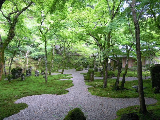 学生時代の友達3人で福岡・長崎へ遊びに行きました。<br /><br />2010年に平城遷都1300年祭を記念して奈良に行き、平城宮跡で天平衣装を着た孝謙さん、M子さん、コクリコのメンバー。<br /><br />M子さんと私は福岡は初めて、孝謙天皇こと孝謙さんは小学校〜高校の途中まで福岡で過ごし、現在でも福岡に領地を持っているので福岡に年に数回は行くという福岡通(通と言っても偏っていたけど)。<br /><br />「平城宮跡を見たのだから大宰府を見なくてはいけません」<br />という孝謙さんの鶴の一声で大宰府に行くことになりました。<br /><br />「遠い九州に行くんだから行ったことのない長崎にも行きたい♪」<br />とコクリコが意見に<br />「そうね〜龍馬さまの亀山社中に行きたいわね〜」<br />と坂本龍馬ファンの孝謙さんが大賛成し、長崎行きも決定。<br />長崎は3人とも初めてです。<br /><br />