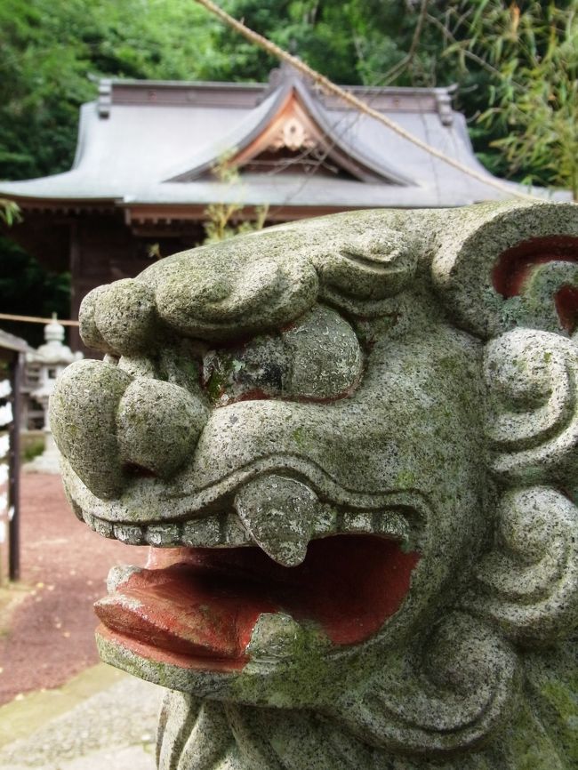 鮎を食べに行ったついでに、修善寺をサクッと観光。<br /><br />存在すら知らなかった日枝神社ですが、なぜか導かれるように境内へ。<br /><br />あまり期待していなかっただけに、神聖なる空間にびっくり。<br /><br />巨木が真っ直ぐにそそり立つさまは、パワースポット的な要素が満載でありました。