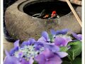 津和野の旅行記