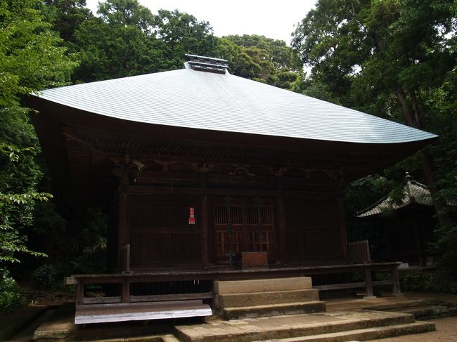 神奈川県逗子市沼間にある神武寺(じんむじ)は天台宗の寺院で医王山来迎院神武寺という。神亀元年(724年)、聖武天皇の命によって、行基が十一面観音・釈迦如来・薬師如来を彫刻し祀ったのが始まりだと伝えられている。<br /> その後、天安元年(857年)、慈覚によって天台宗に改宗され中興された。三浦(逗子)八景の1つとして知られる古刹である。また、このあたりは源頼朝の父である源義朝が館(沼浜亭)を構えたところでもあり、源氏ゆかりの地でもある。<br /> 神武寺の表参道は上り口からコンクリート敷きで、かなり上まで上らないと石段にはならない。また、本堂や庫裡は通常は立入禁止である。楼門にも仁王像もなく、締りがない。薬師堂は33年に1度しか開帳されない秘仏が安置されている。これらの建物は古い建立ではあるが、重要文化財にもなっていない。神武寺の晩鐘で知られた梵鐘も金属供出されて、戦後に鋳造されたものである。<br /> 何もかもが中途半端な感じを受けたのが神武寺である。<br />(表紙写真は神武寺薬師堂)