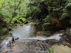 西表　2012　海と山を堪能する　～山編～