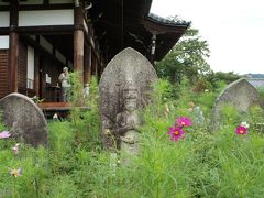 近鉄線の旅　～後半は吉野山から、ならまちと大和郡山へ