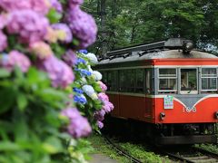 箱根・あじさいと箱根登山鉄道を撮り鉄してみた。