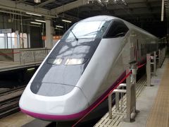 ０３．1年ぶりの東北出張　仙台～盛岡の東北新幹線こまちの移動