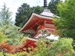 アジサイ寺とヒマワリ畑のドライブ