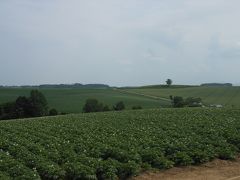 day4　美瑛でサイクリング [12' 子連れ（1歳幼児）で楽しむ北海道]