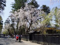 2012GW 北東北桜の旅-1